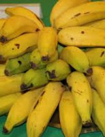 Banana, um dos alimentos mais importantes do mundo