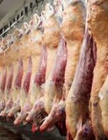 Os EUA tiram a taxa extra de 40% para a carne brasileira e as exportações devem voltar a crescer