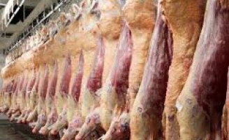 A carne bovina baixa e os preços podem reduzir ainda mais nos próximos meses