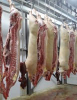 Criadores de porcos estão festejando os números das exportações de carne no ano que acabou
