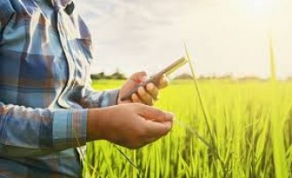 Donos de propriedades rurais podem emitir certidão de regularidade fundiária via computador