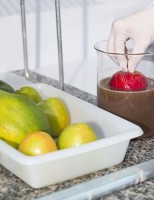 Cera de carnaúba com nanotecnologia aumenta tempo de prateleira das frutas