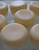 Um microrganismo usado na fabricação de queijo de cabra apresenta propriedades anti-inflamatórias