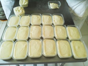 queijo marajo 1