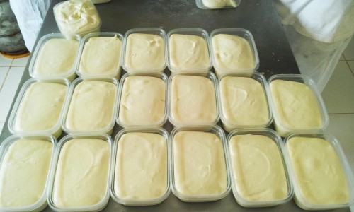 O queijo do Marajó tem um jeito exclusivo de ser feito