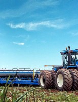 Segredo das altas produtividades está na semeadura, afirma pesquisador