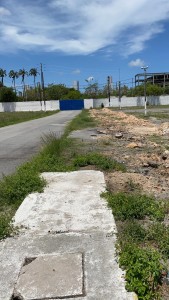 Parque do cordeiro 5