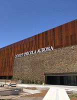 Maior Cooperativa Vinícola do Brasil completa 89 anos no mercado