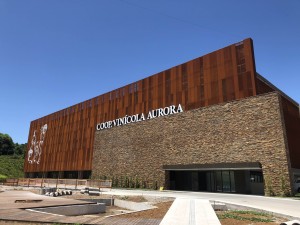aurora