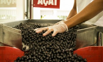 O mercado bilionário da produção brasileira de açaí