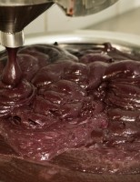 Uma nova semente de açaí vai permitir o cultivo e fornecimento de frutos o ano inteiro