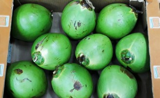 Quero comprar coco verde