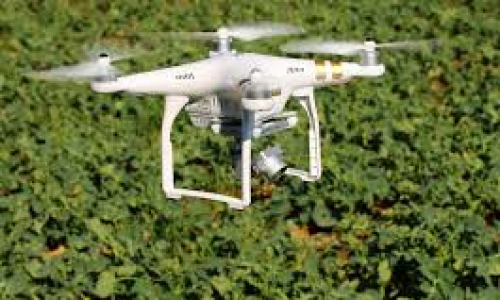 Cresce o uso de drones na agricultura brasileira