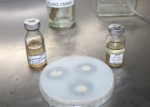 fertilizante, nova tecnologia.