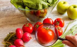 Artigo:  importância do adubo fosfatado e a segurança alimentar