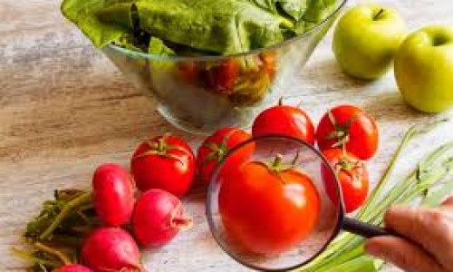 <h2><a href="https://nordesterural.com.br/artigo-importancia-do-adubo-fosfatado-e-a-seguranca-alimentar/">Artigo:  import&acirc;ncia do adubo fosfatado e a seguran&ccedil;a alimentar</a></h2>Por Valter Casarin

&nbsp;

A seguran&ccedil;a alimentar no mundo &eacute; dependente do uso de fertilizantes. Essa depend&ecirc;ncia se d&aacute; especialmente com os fosfatados, feitos de um recurso limitado, o min&eacute;rio de fosfato.