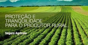 seguro rural