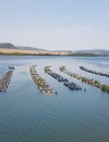 Será em maio a maior feira de aquicultura da América Latina