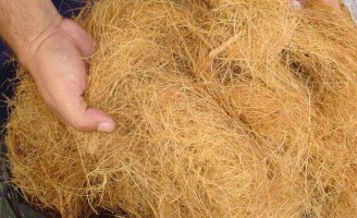 Biomanta de coco poderá ser utilizada na agricultura orgânica