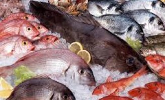 Começam as fiscalizações do pescado para a Semana Santa