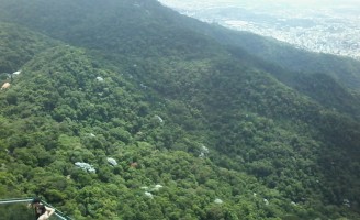 A exuberante Floresta da Tijuca