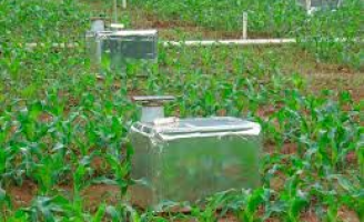 A importância do nitrogênio para o desenvolvimento das plantas e a qualidade dos alimentos