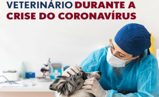 Cuidados com os animais domésticos para a convivência com o coronavírus