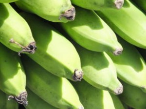 banana platina