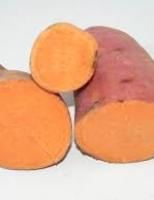 Já está no mercado uma semente de Batata-doce biofortificada