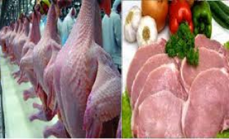 Produção brasileira de carne de frango tem capacidade para alimentar 396 milhões de pessoas