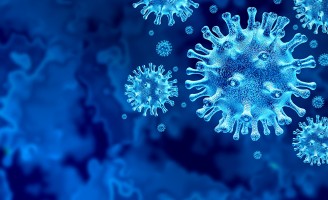 Pesquisadores orientam produtor rural como manter o ritmo de produção durante a Pandemia