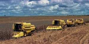 exportações do agro