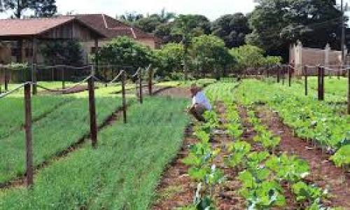 <h2><a href="https://nordesterural.com.br/pandemia-provoca-mudancas-nos-habitos-de-consumo-e-os-produtores-rurais-estao-mudando-as-estrategias-de-venda/">Pandemia provoca mudan&ccedil;as nos h&aacute;bitos de consumo e os produtores rurais est&atilde;o mudando as estrat&eacute;gias de venda</a></h2>Em virtude da pandemia do novo Coronav&iacute;rus, os pequenos produtores rurais enfrentam o desafio de chegar at&eacute; o cliente que, por preven&ccedil;&atilde;o, mudou os h&aacute;bitos de consumo e basicamente tem