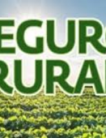 Perda do agronegócio poderão ser informadas remotamente