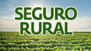 seguro rural com plantação