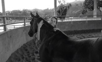 Como manter as atividades físicas do cavalo no período de pandemia do coronavírus