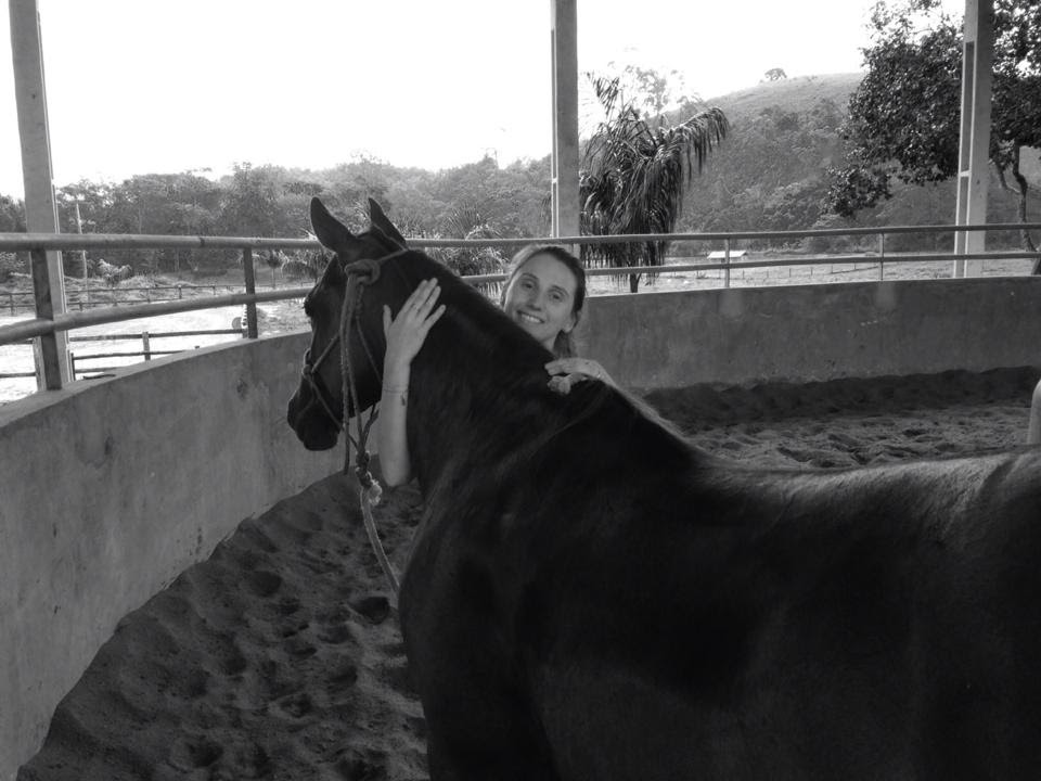 Como manter as atividades físicas do cavalo no período de pandemia do coronavírus