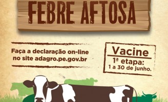 Pernambuco inicia vacinação contra febre aftosa hoje