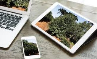 Agricultura brasileira é mais digitalizada do que a Americana e a Pandemia vai ampliar as oportunidades de digitalização