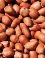 Cultivar de amendoim forrageiro propagada por sementes