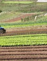 Governo desburocratiza o acesso ao crédito rural
