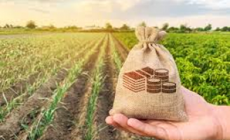 Financiamento para produtores rurais na safra 2019/2020 cresce 12% no Brasil