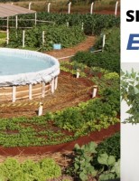 O “Sisteminha” é uma tecnologia barata que ajuda o produtor rural ter mais renda e alimento