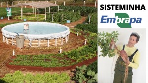 sisteminha embrapa