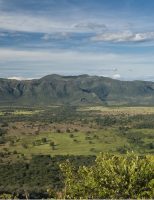 Fiscalização identifica desmatamento no cerrado brasileiro