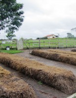 A compostagem aumenta a rentabilidade das lavouras e preserva o meio ambiente