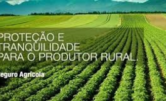 Saiu a lista de produtores beneficiados no Programa de Seguro Rural