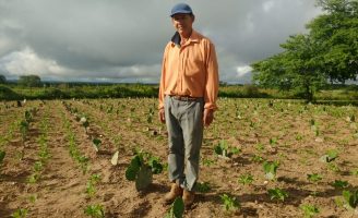 Municípios do Baixo São Francisco terão estímulos para adotar Projeto que desenvolve agricultura familiar