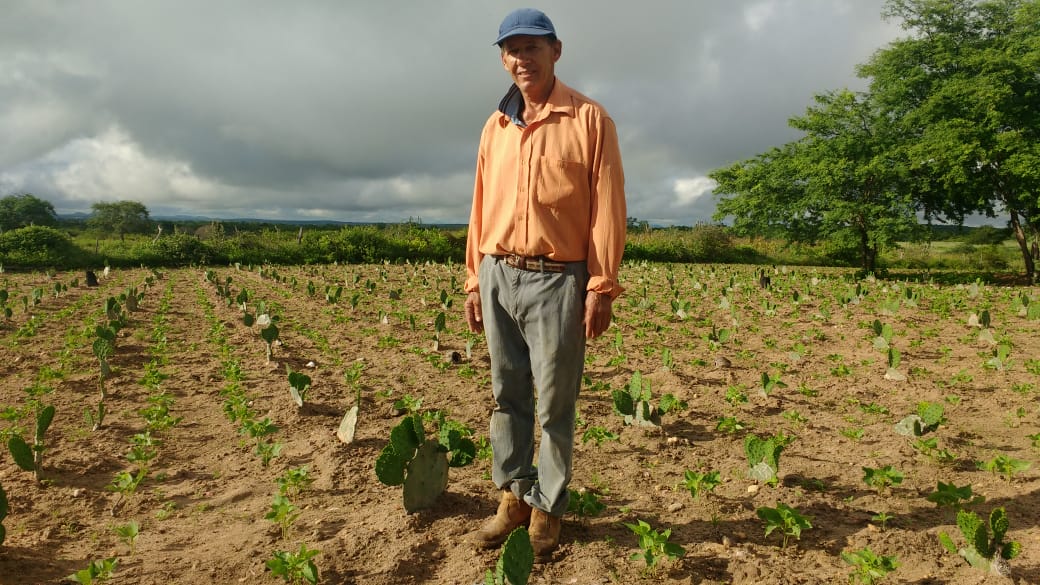 Municípios do Baixo São Francisco terão estímulos para adotar Projeto que desenvolve agricultura familiar