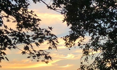<h2><a href="https://nordesterural.com.br/por-do-sol-no-morvan/">Por do sol no Morvan</a></h2>Esse belo por do sol veio da Fran&ccedil;a, e foi fotografado pela nossa j&aacute; conhecida internauta, Nadja Acioly Regnier. Ela disse que estava na casa de campo na regi&atilde;o do